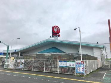 コメリハード＆グリーン宮城河北店：338m