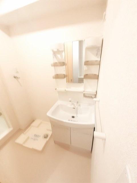 Ｐｉｎｅ　Ｂｒｅｅｚｅ壱番館（102） 洗面