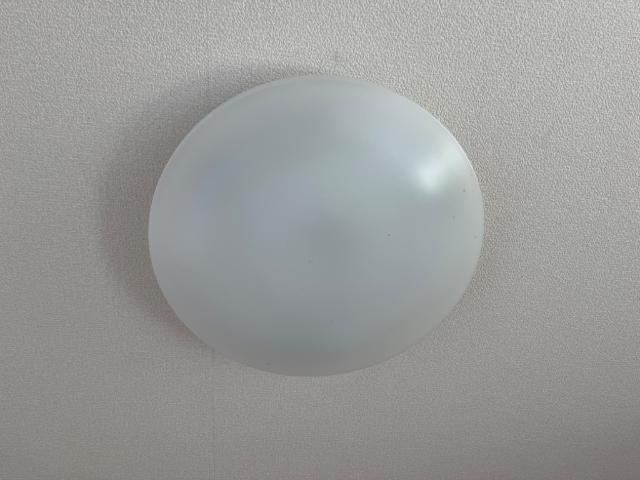 ステディア 部屋画像