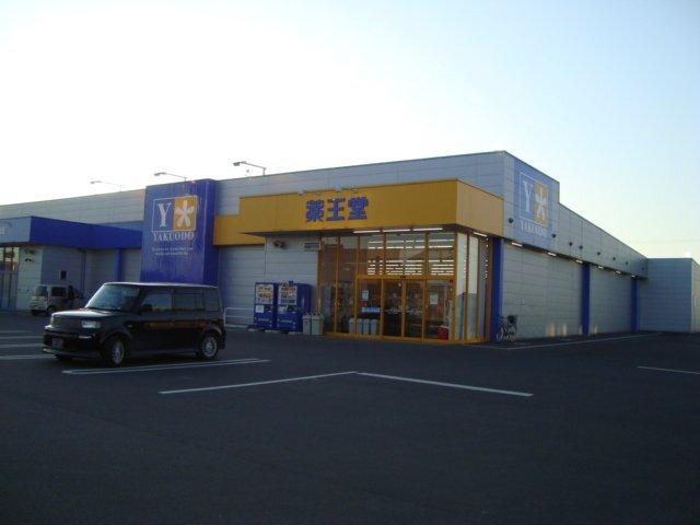 薬王堂登米加賀野店：860m