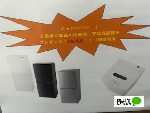 エレガンス古城（202） その他