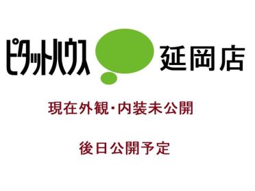 延岡市立東小学校：766m