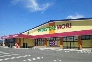 ドラッグストアモリ岡富店：800m