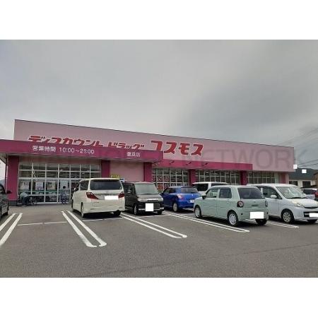 ドラッグストア塩浜店：950m