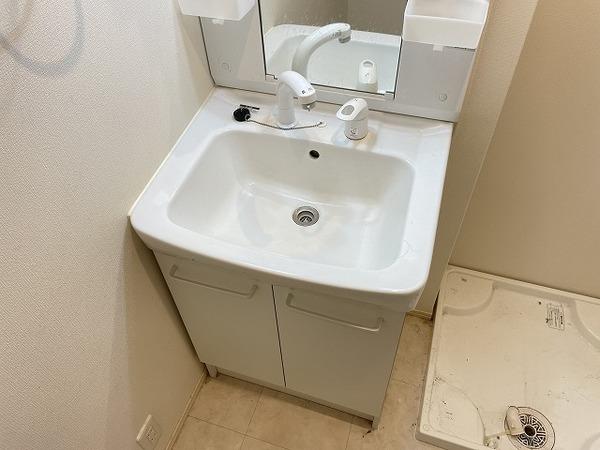 D-room宇治南山（101） 洗面