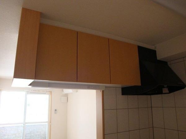 ウェルシーアイ（102） キッチン