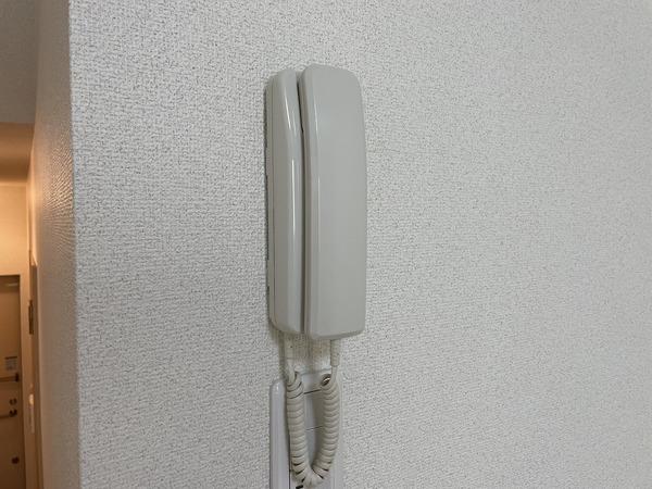 キャンベルリバーⅡ番館（111） セキュリティ