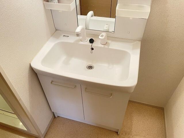 サンタカーサ（202） 洗面
