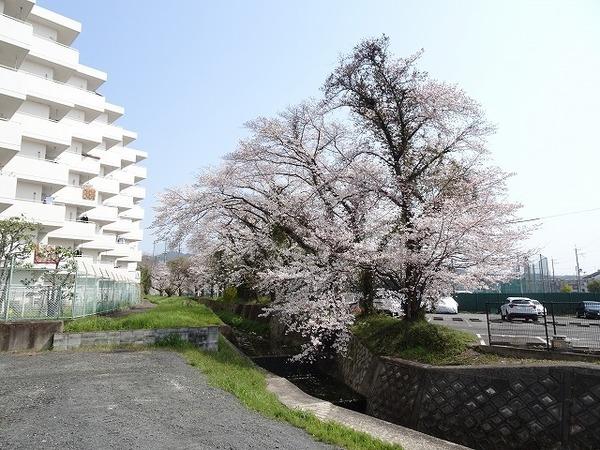 コスモウイング宇治　 外観