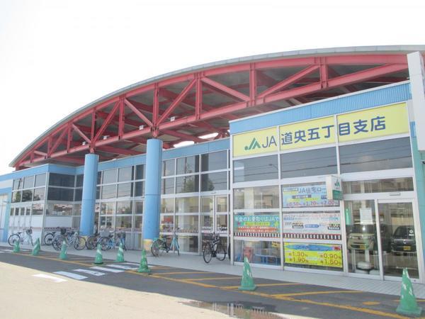 ホクレンショップ元江別店：806m