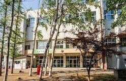 札幌市立みどり小学校：272m