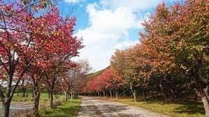緑ケ丘緑地：1366m