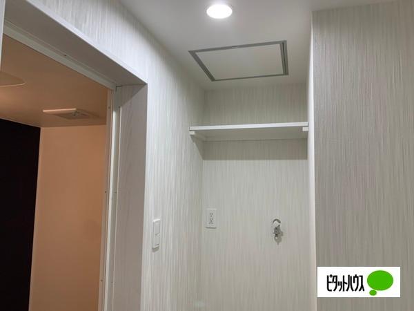 ルーチェ細野（101） 部屋画像