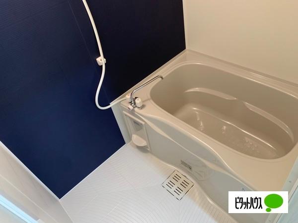ルーチェ細野（101） 部屋画像