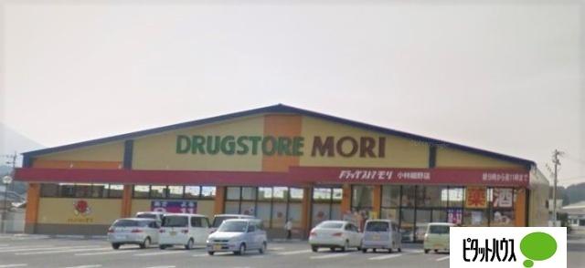 ドラッグストアモリ小林細野店：960m