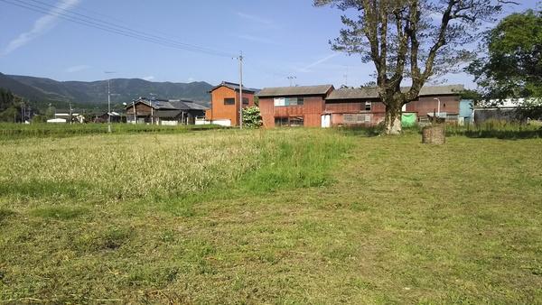 1257 土地画像