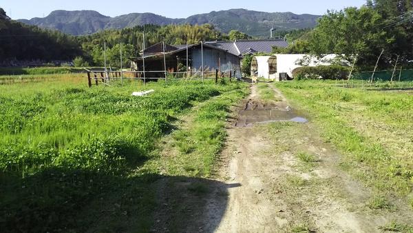 1257 土地画像
