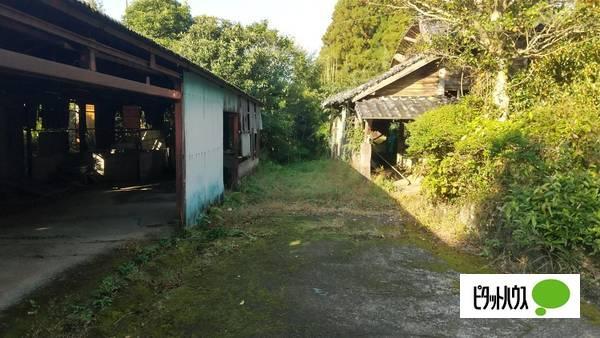 11263 土地画像