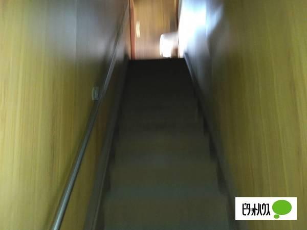 11382 土地画像