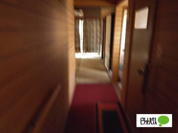 11382 土地画像