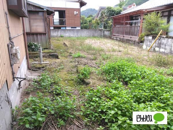 11382 土地画像