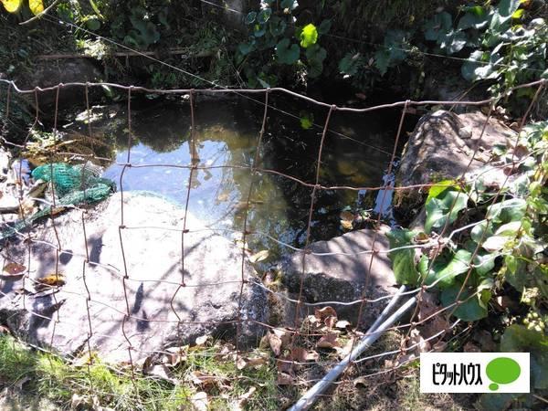 小林市細野中古戸建 土地画像