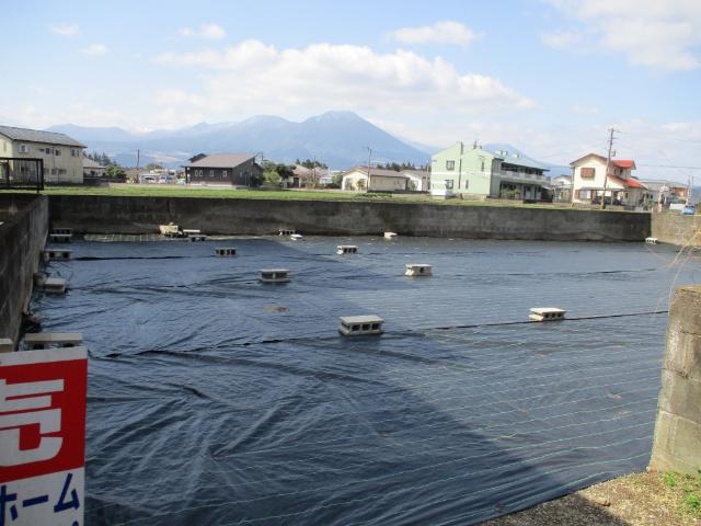 土地1