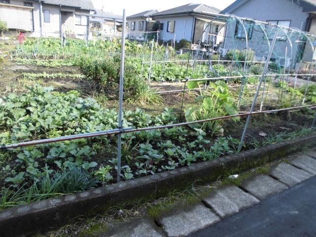 1384 土地