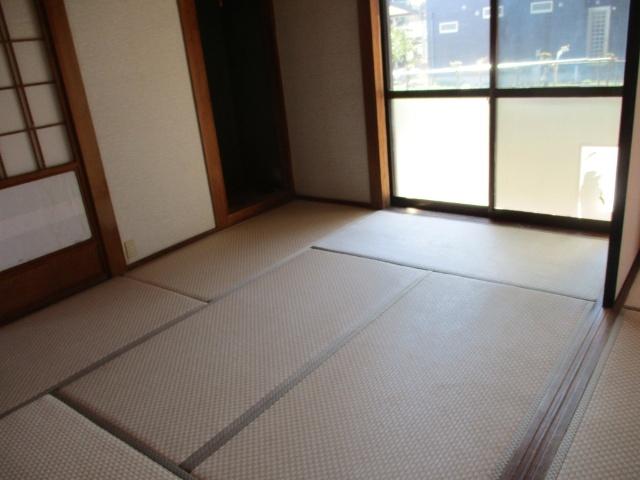 11536 土地画像
