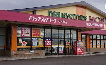ドラッグストアモリ小林店