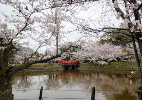 亀城公園
