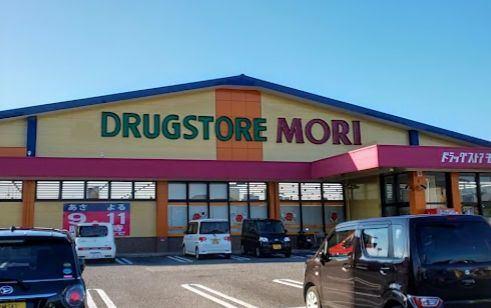 ドラッグストアモリ小林細野店