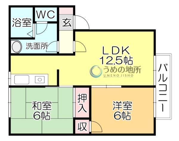ﾀﾌﾟﾛｺｰﾄ参番館（203） 間取り図画像