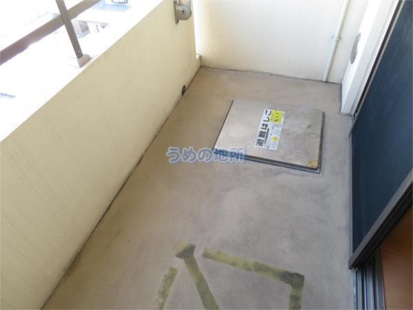 すかる梅満（605） 部屋画像