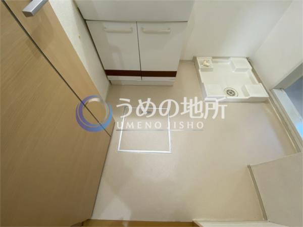 ｱﾚｸﾞﾘｱ（102） その他