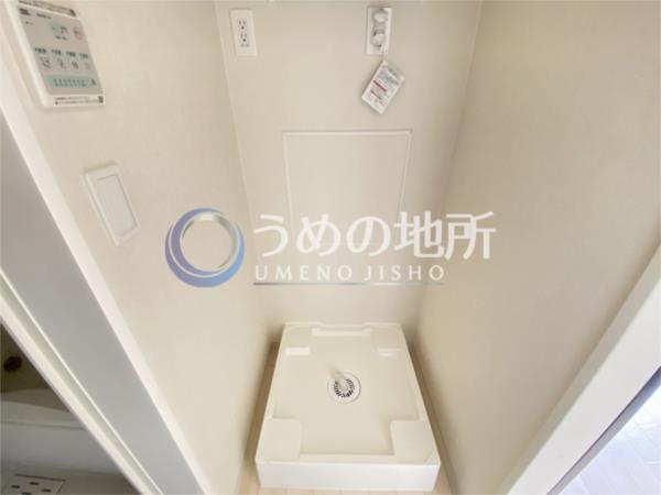 Light snow（206） その他