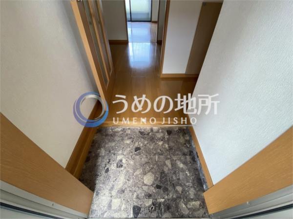 ｱｲﾋﾞｰｺｰﾄ弐番館（202） 玄関