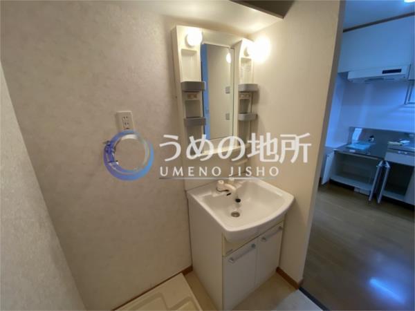 ｱｲﾋﾞｰｺｰﾄ弐番館（202） 部屋画像