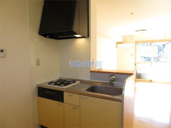 ﾊﾚｱｶﾗC棟（207） キッチン