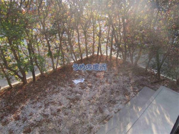 ﾊｲﾑ東山I（102） 庭