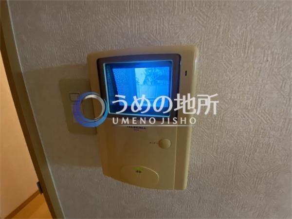 ｾﾚｰﾉ（102） その他