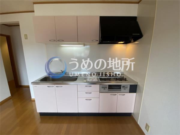 ﾌﾛﾝﾄﾊﾟｰｸK（203） キッチン