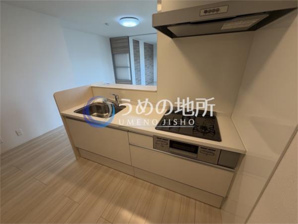 D-roomT.MII（302） キッチン