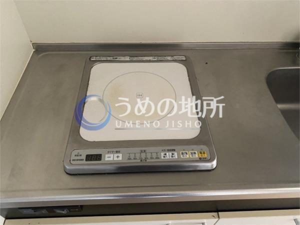 ｻﾝﾛｰﾄﾞｽI（1D） その他