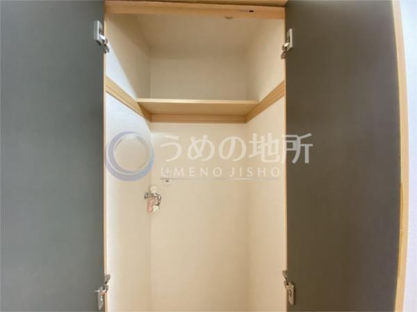 ｼｪｿﾜ（305） その他