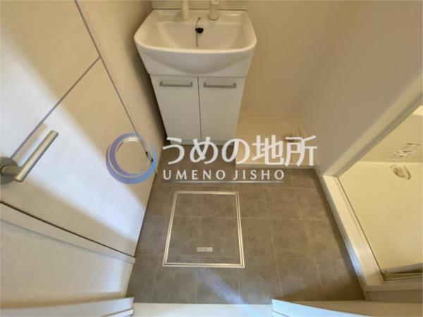 ﾊﾟﾃﾙ・ｳﾞｨｵﾗ（205） 部屋画像