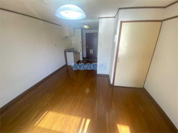 ﾙﾋﾟﾅｽ（303） その他部屋・スペース