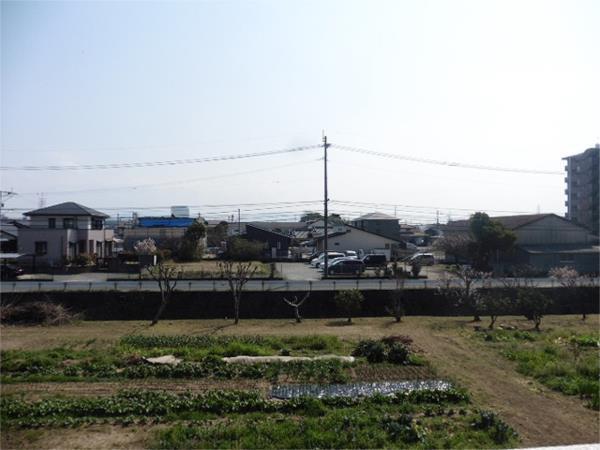 ｿﾗｰﾚ梅満（207） 部屋画像
