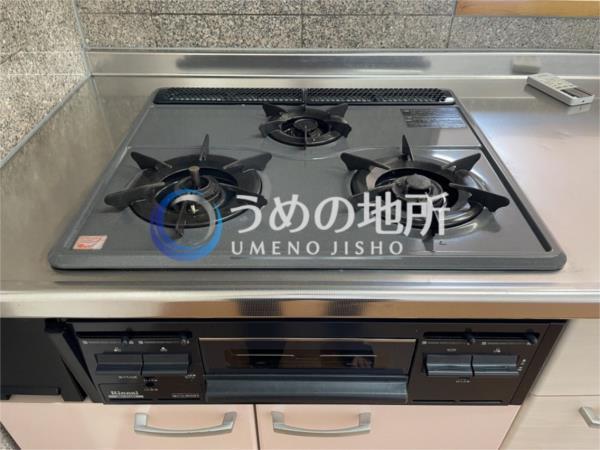 ｲﾝﾎﾟｰﾄ久留米ﾙﾋﾞｰV（303） その他