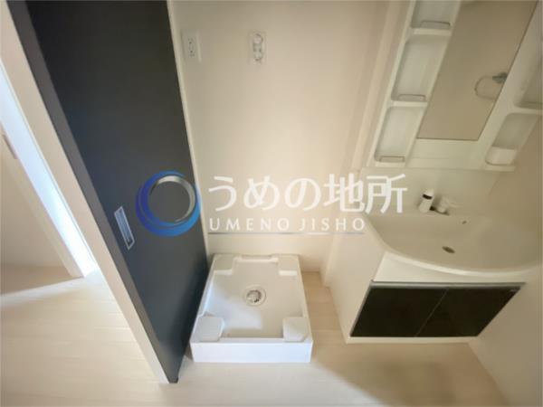 ﾗﾌｨｰﾈA（208） その他